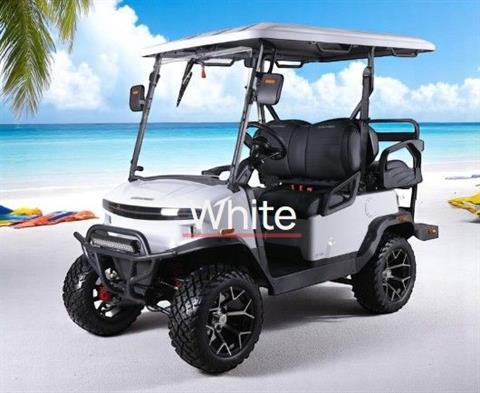 2025 Denago Ev Nomad XL White image