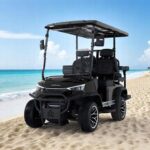 2025 DACH EV Falcon Explorer 2+2