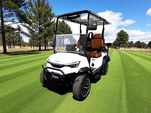 2025 DACH EV Falcon Explorer 2+2 White image