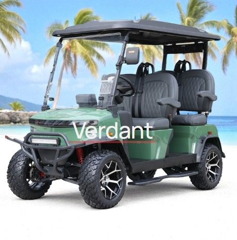 2025 Denago EV Rover Xl