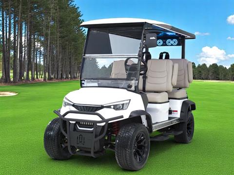 2025 DACH EV Apollo Explorer White image