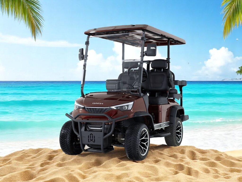 2025 DACH EV Falcon Explorer 2+2 Brown image