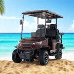 2025 DACH EV Falcon Explorer 2+2 Brown