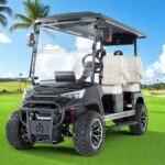 2025 DACH EV Apollo Explorer Black