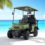 2025 DACH EV Falcon Explorer 2+2 Green