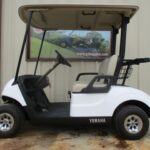 2021 YAMAHA DRIVE 2 48V AC