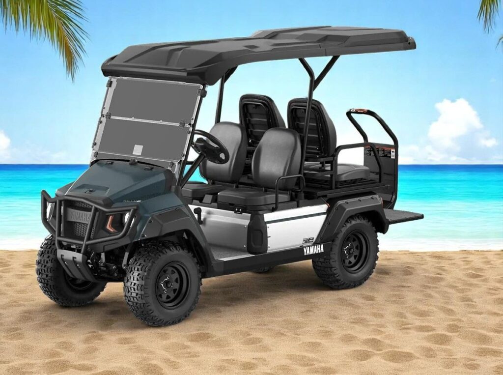 2025 Yamaha UMAX 2+2 Gas EFI image