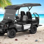 2025 Yamaha UMAX 2+2 Gas EFI