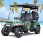 2025 Denago EV Rover Xl